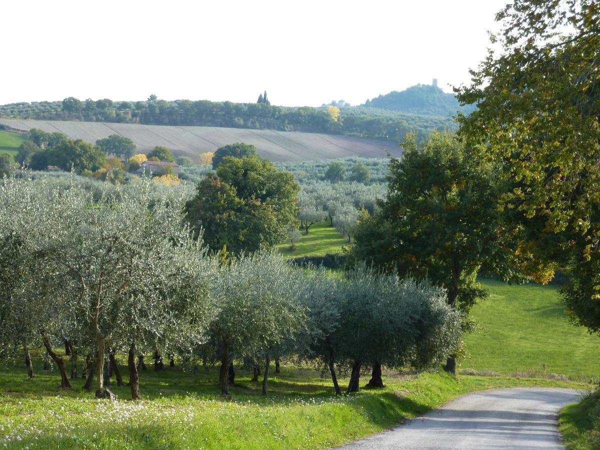 Genius Loci Country Inn Bevagna Esterno foto