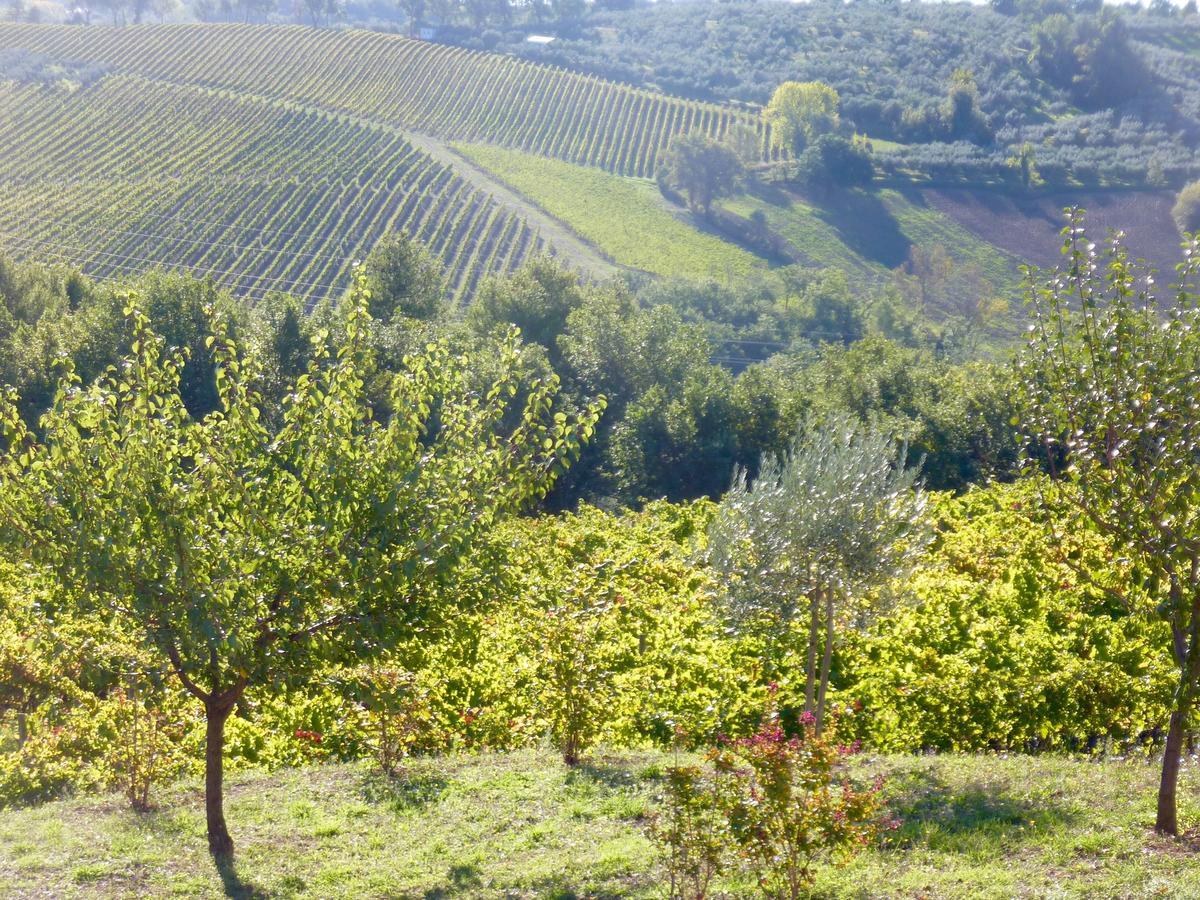 Genius Loci Country Inn Bevagna Esterno foto